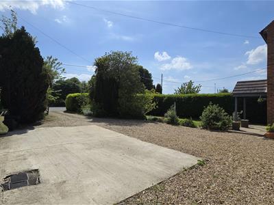 Picture 25